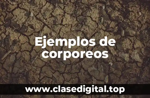 Ejemplos de corporeos