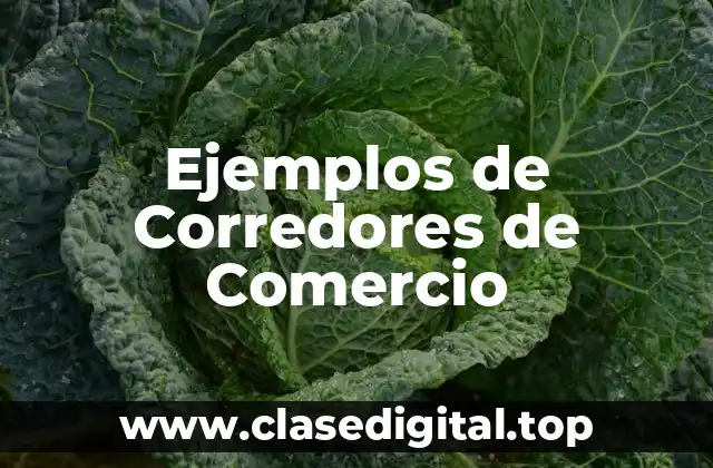 Ejemplos de Corredores de Comercio