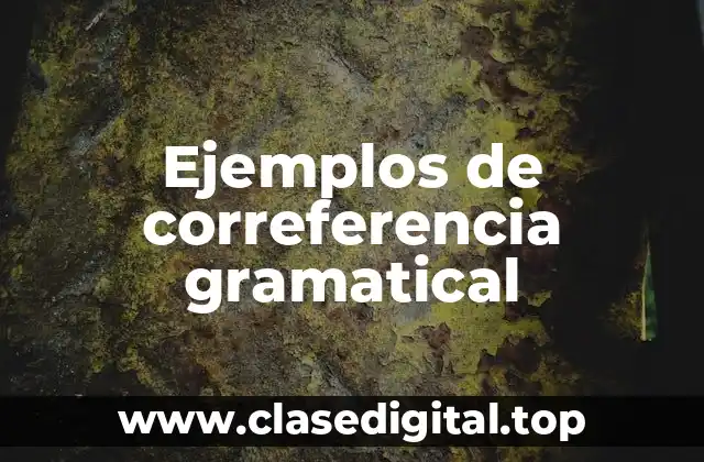 Ejemplos de correferencia gramatical