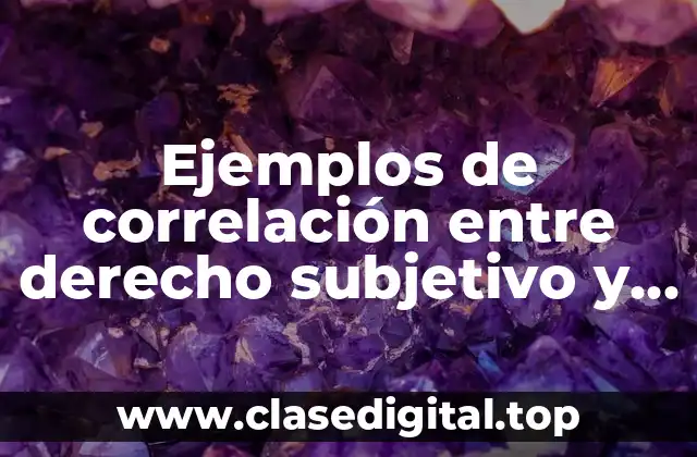 Ejemplos de correlación entre derecho subjetivo y deber jurídico y Significado