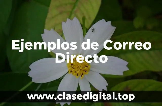 Ejemplos de Correo Directo