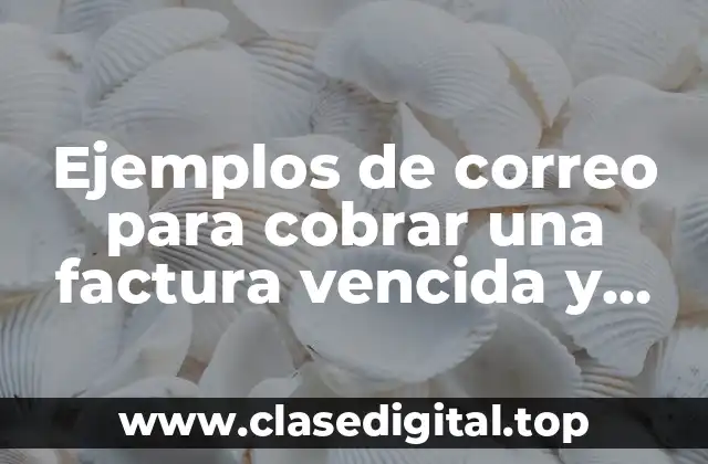 Ejemplos de correo para cobrar una factura vencida y Significado