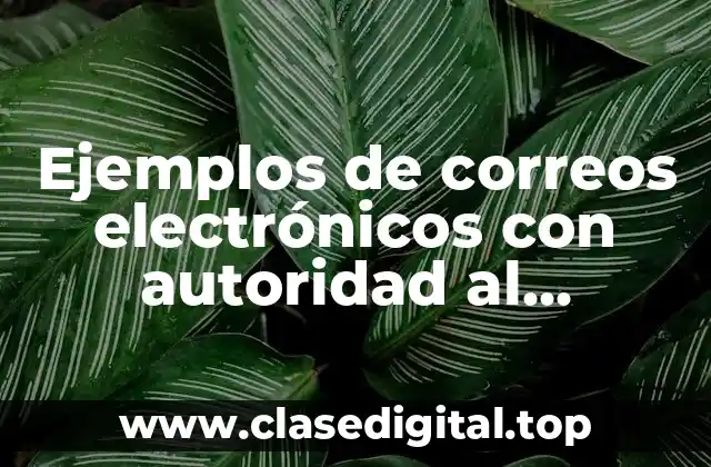 Ejemplos de correos electrónicos con autoridad al empleado