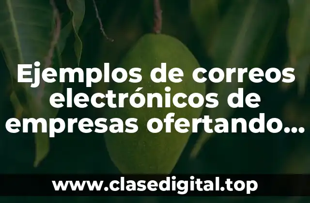 Ejemplos de correos electrónicos de empresas ofertando servicios