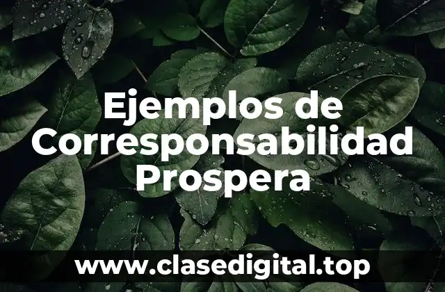 Ejemplos de Corresponsabilidad Prospera