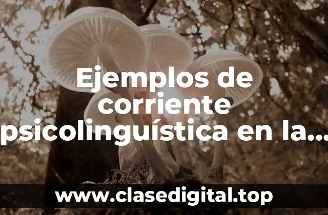 Ejemplos de corriente psicolinguística en la escuela