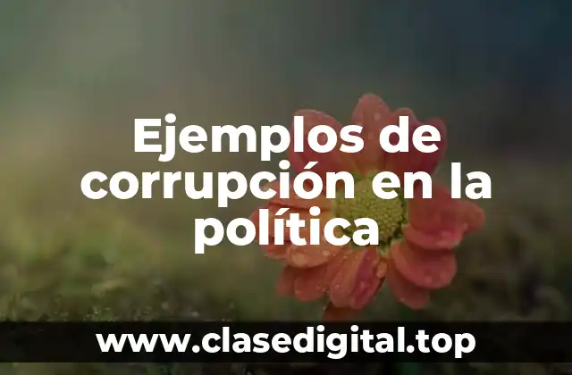Ejemplos de corrupción en la política