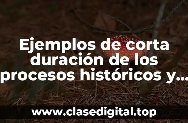 Ejemplos de corta duración de los procesos históricos y hechos