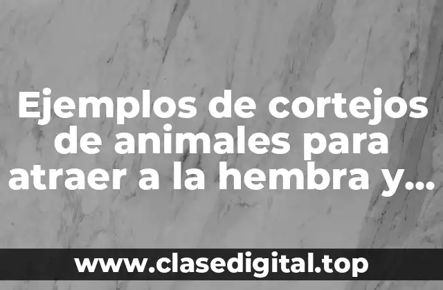 Ejemplos de cortejos de animales para atraer a la hembra