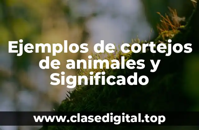 Ejemplos de cortejos de animales y Significado