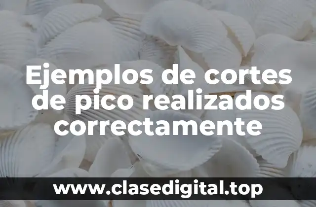 Ejemplos de cortes de pico realizados correctamente
