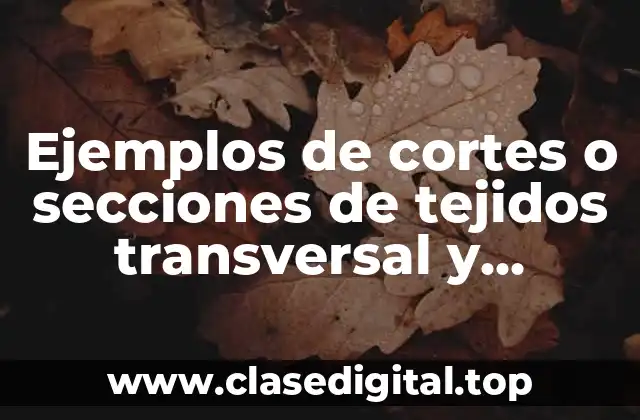 Ejemplos de cortes o secciones de tejidos transversal y longitudinal