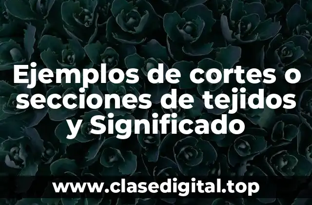 Ejemplos de cortes o secciones de tejidos