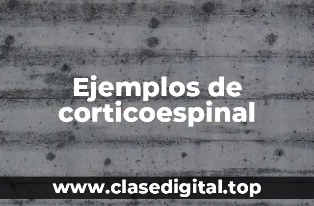 Ejemplos de corticoespinal