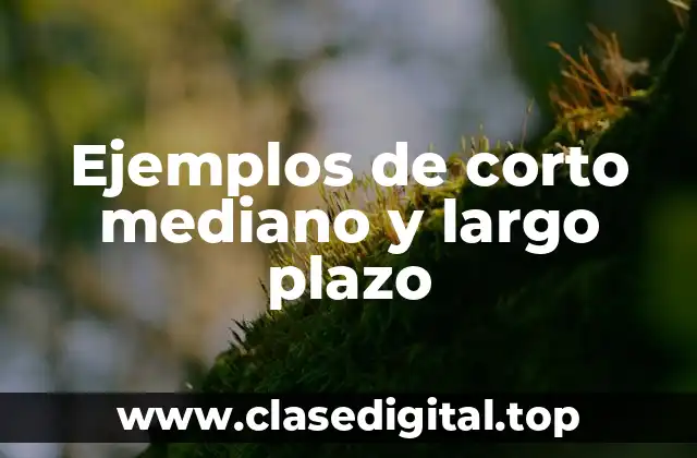 Ejemplos de corto, mediano y largo plazo
