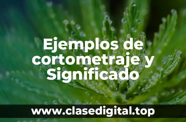 Ejemplos de cortometraje y Significado