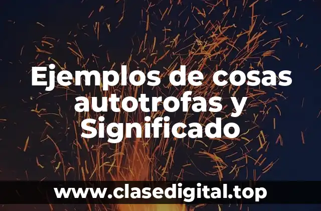 Ejemplos de cosas autotrofas y Significado