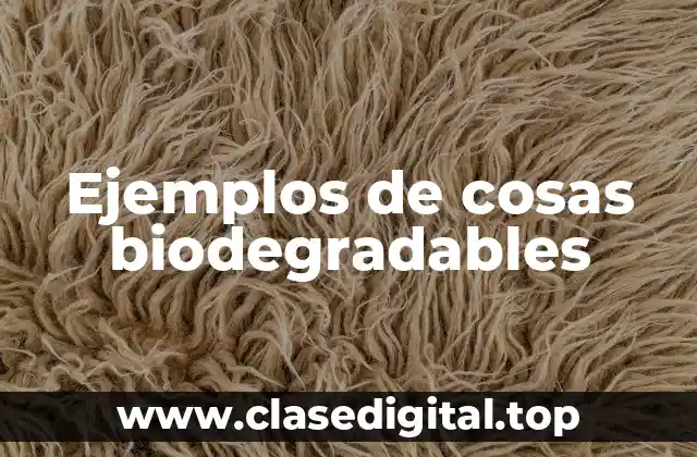 Ejemplos de cosas biodegradables