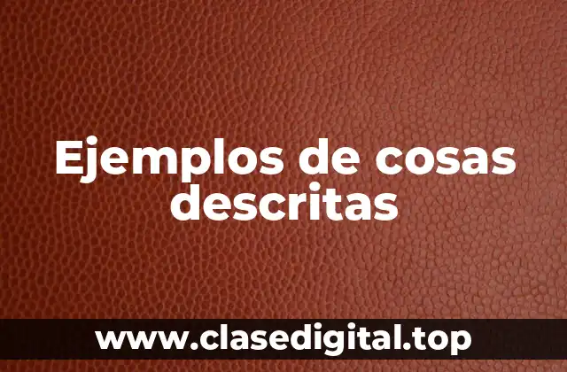 Ejemplos de cosas descritas