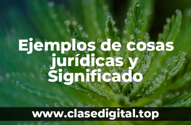 Ejemplos de cosas jurídicas y Significado