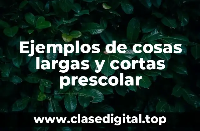 Ejemplos de cosas largas y cortas prescolar
