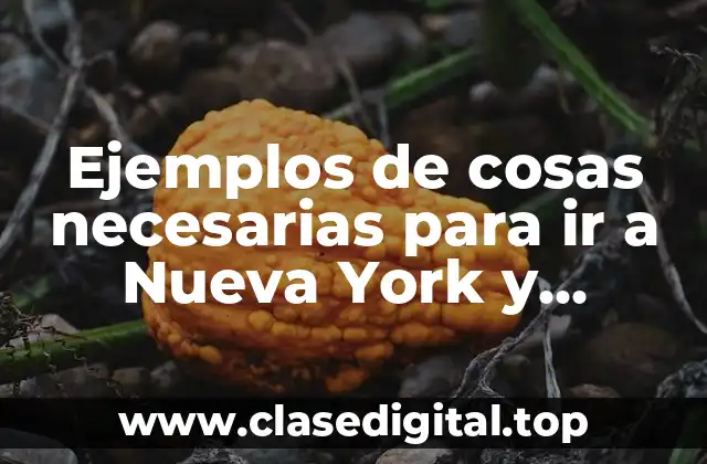Ejemplos de cosas necesarias para ir a Nueva York