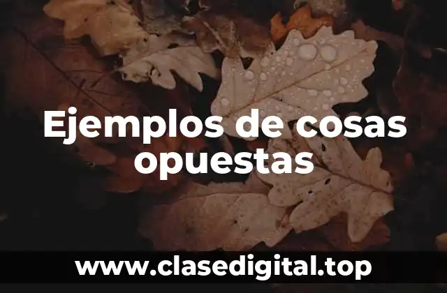 Ejemplos de cosas opuestas