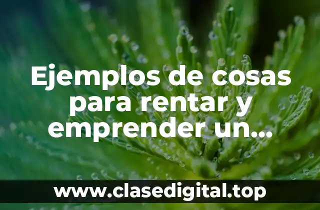Ejemplos de cosas para rentar y emprender un negocio y Significado