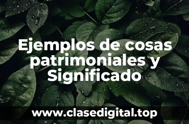 Ejemplos de cosas patrimoniales y Significado