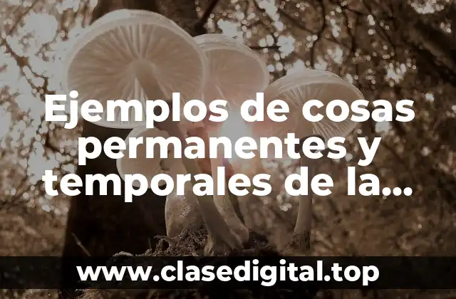 Ejemplos de cosas permanentes en la naturaleza