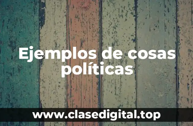 Ejemplos de cosas políticas