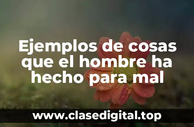 Ejemplos de cosas que el hombre ha hecho para mal