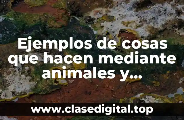 Ejemplos de cosas que hacen mediante animales y Significado