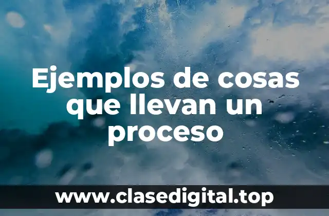 Ejemplos de cosas que llevan un proceso