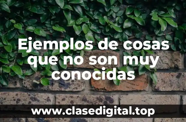 Ejemplos de cosas que no son muy conocidas