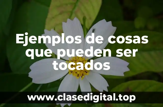 Ejemplos de cosas que pueden ser tocados