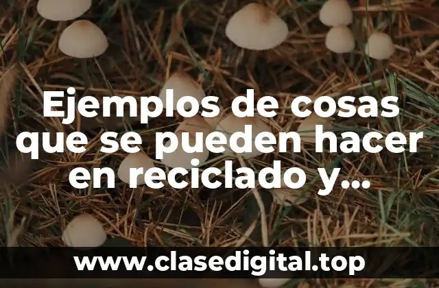 Ejemplos de cosas que se pueden hacer en reciclado y Significado