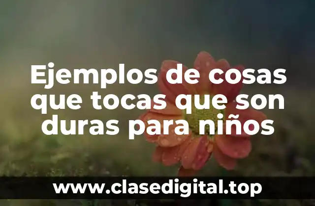 Ejemplos de cosas que tocas que son duras para niños
