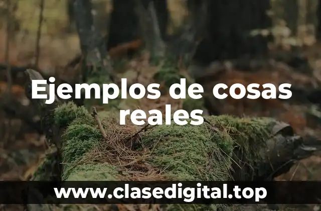 Ejemplos de cosas reales
