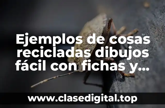 Ejemplos de cosas recicladas dibujos fácil con fichas y botellas y Significado