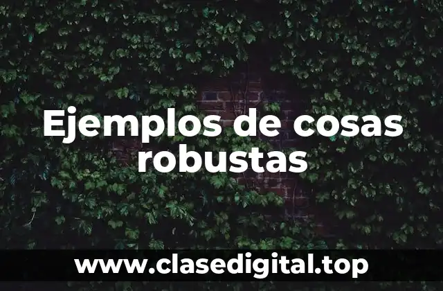 Ejemplos de cosas robustas