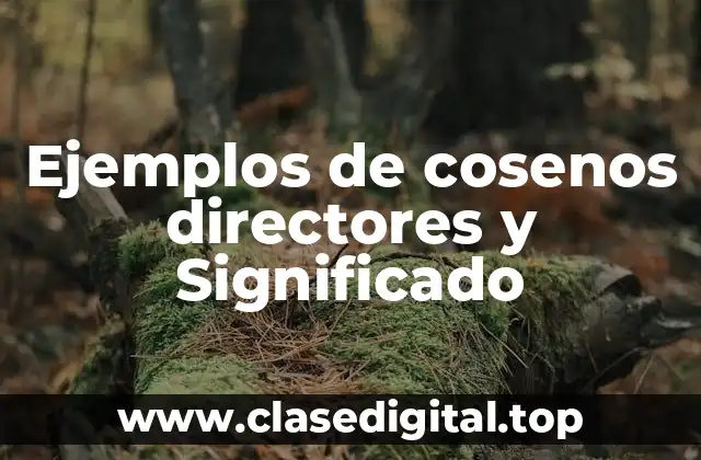Ejemplos de cosenos directores y Significado