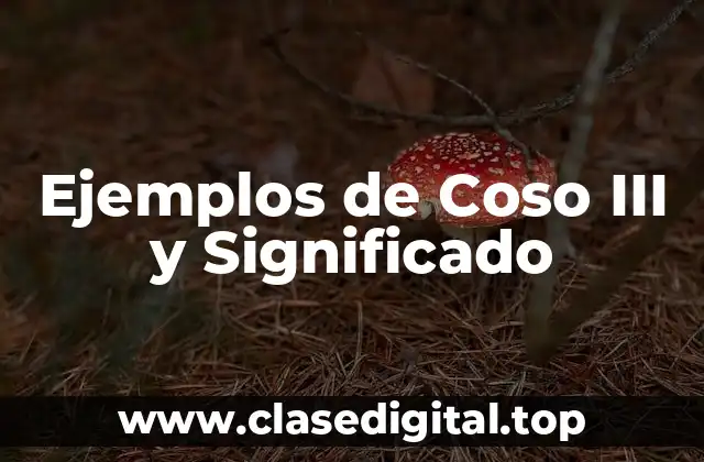 Ejemplos de Coso III y Significado
