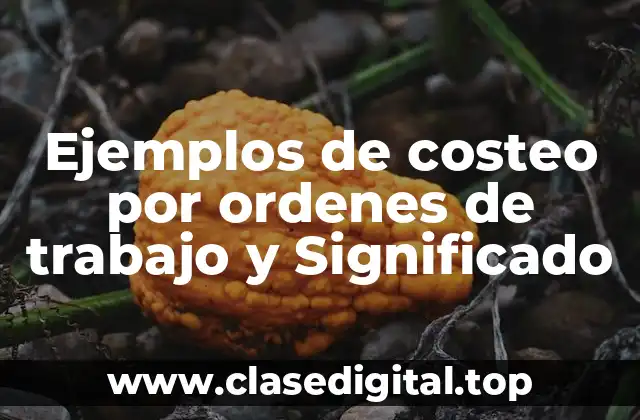 Ejemplos de costeo por ordenes de trabajo y Significado