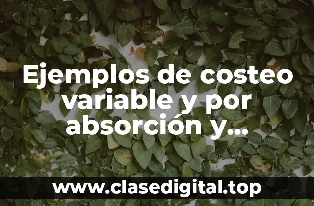 Ejemplos de costeo variable y por absorción y Significado