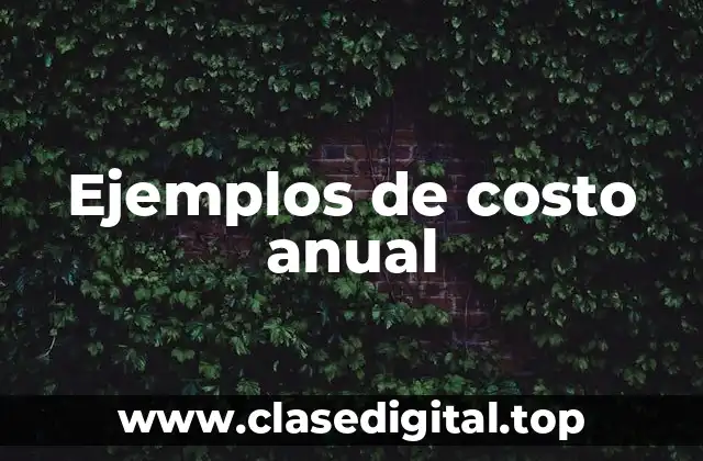 Ejemplos de costo anual