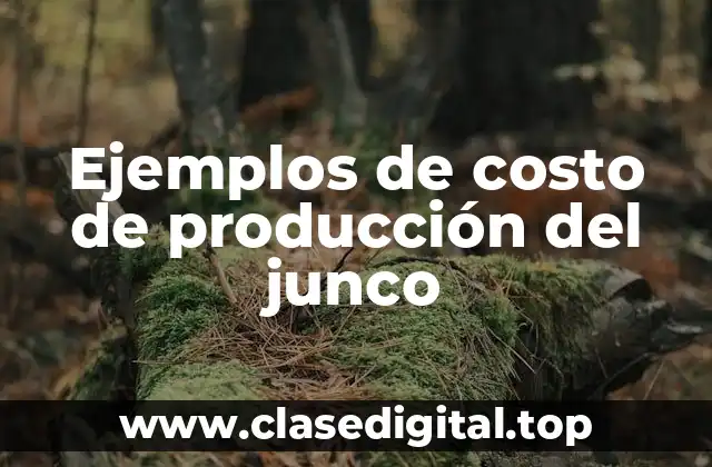 Ejemplos de costo de producción del junco