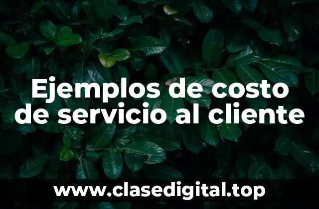 Ejemplos de costo de servicio al cliente
