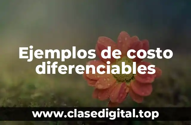 Ejemplos de costo diferenciables