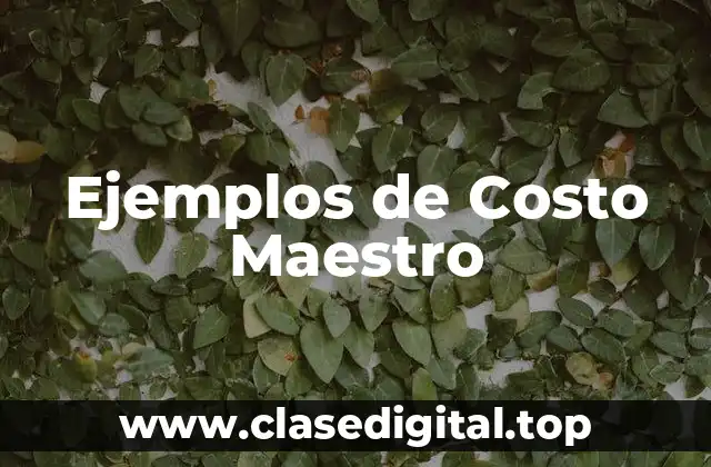 Ejemplos de Costo Maestro
